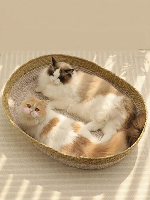 001894d5-49f8-4b50-bf37-c75f11827245-Max-Origin